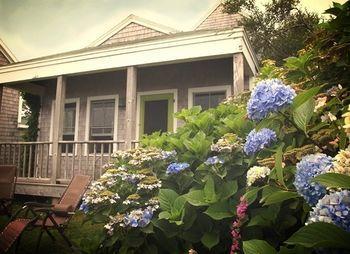 Sea Breeze Inn Ню Шоръм Екстериор снимка
