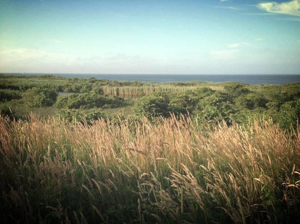 Sea Breeze Inn Ню Шоръм Екстериор снимка